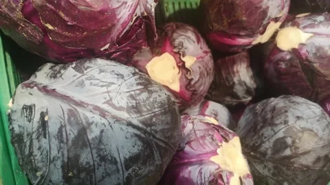 Cabbage displayed in a greengrocer Stock Footage 165107046