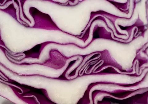 Cabbage - extreme closeup Foto stock