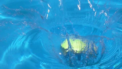 Cabbage falls into water Vídeo Stock 146627215