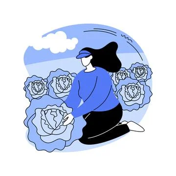 Cabbage farming isolated cartoon vector illustrations. Illustrazione stock