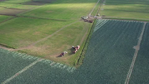 Cabbage fields Stockbeeldmateriaal 162121075