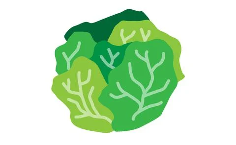 Cabbage flat design isolated on white background EPS 10. Stock Illustration