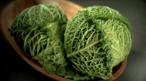 Cabbage 스톡 동영상 376245