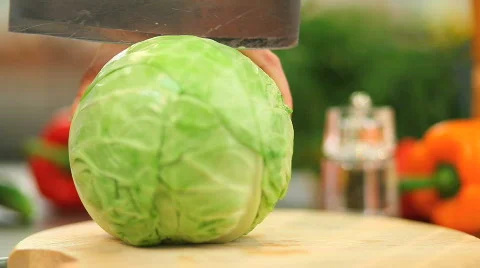 Cabbage 스톡 동영상 789368
