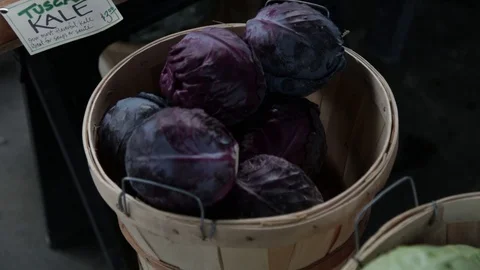 Cabbage 動画素材 105420775