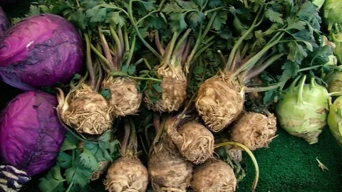 Cabbage Stock Footage 108554817