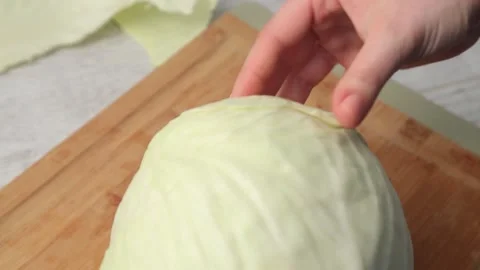 CABBAGE Stock Footage 155549962