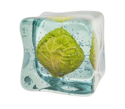 Cabbage frozen in ice cube, 3D rendering Stock Illustration