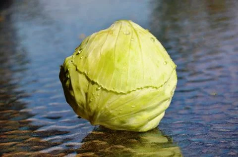 Cabbage  on a glass table. Macro Stock Photos