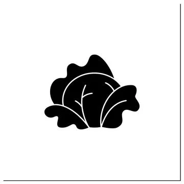 Cabbage glyph icon Stock Illustration