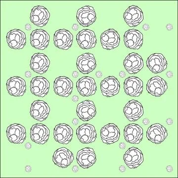 Cabbage grid or mesh. Stock Illustration