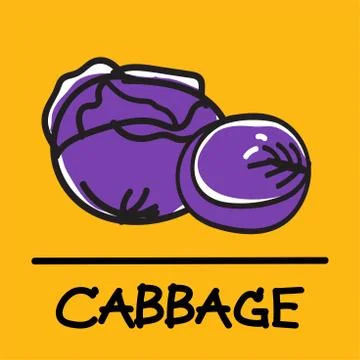 Cabbage hand-drawn style,Vector illustration. Stock Illustration