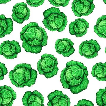 Cabbage hand drawn vector seamless pattern. Vegetable artistic style object. Stock Illustration