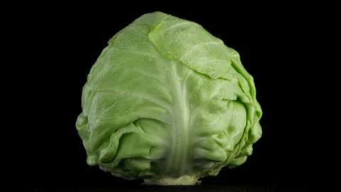 Cabbage. head of cabbage isolated on black background, rotation Video stock 150990374