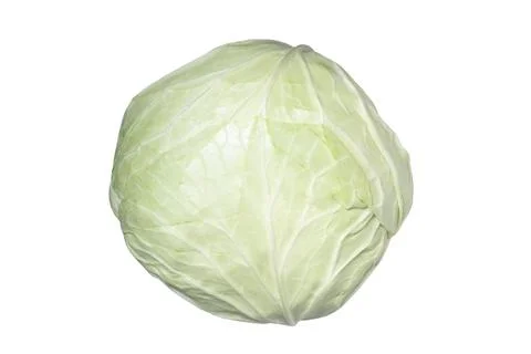 Cabbage head isolated on white background. A ripe whole cabbage. Organic food Foto stock