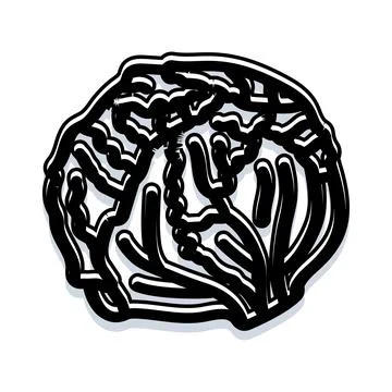 Cabbage head line art drawing vegetable food Stock Illustration