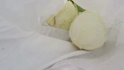 Cabbage heads fall into the bag. Cabbage harvest Stock Footage 98930286