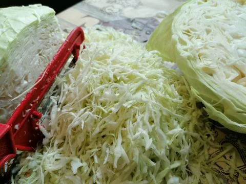 Cabbage heads, vegetable, chopped cabbage for pickling Stock Photos