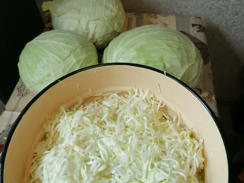Cabbage heads, vegetable, chopped cabbage for pickling Stock Photos