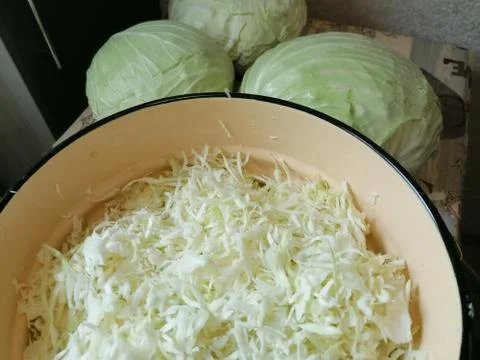 Cabbage heads, vegetable, chopped cabbage for pickling Stock Photos