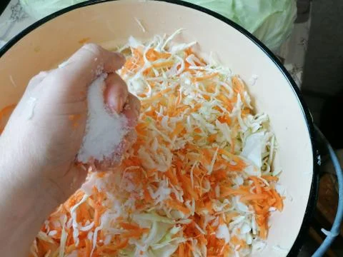 Cabbage heads, vegetable, chopped cabbage for pickling Stock Photos