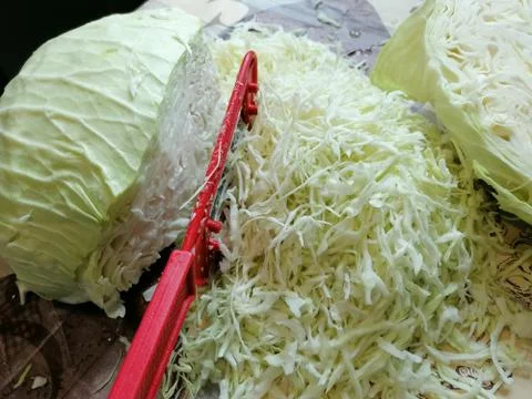 Cabbage heads, vegetable, chopped cabbage for pickling Stock Photos