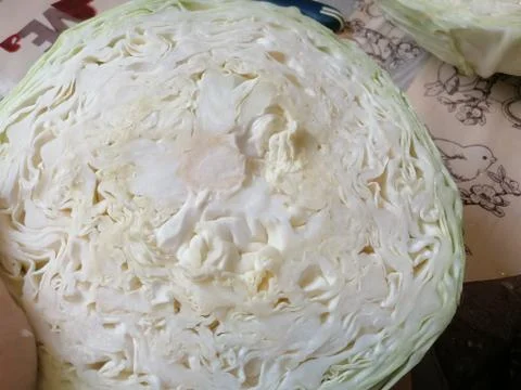 Cabbage heads, vegetable, chopped cabbage for pickling Stock Photos