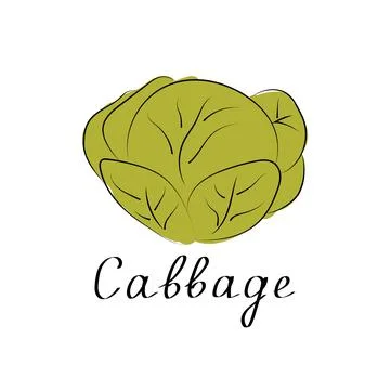 Cabbage icon in flat style. Isolated object. Cabbage logo. Organic vegetable Stock Illustration