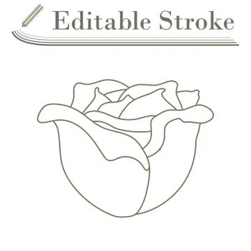 Cabbage Icon Stock Illustration