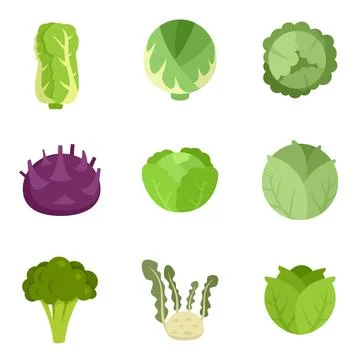 Cabbage icons set flat vector isolated Illustrazione stock