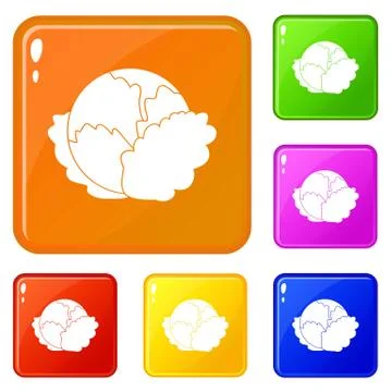 Cabbage icons set vector color Ilustración de archivo