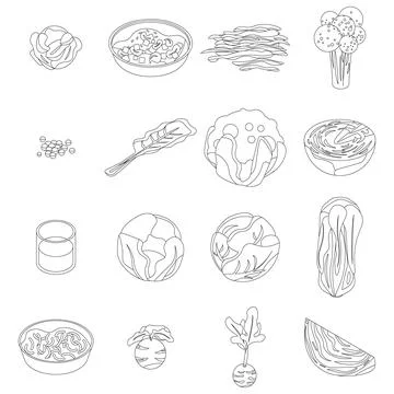 Cabbage icons set vector outline Ilustración de archivo