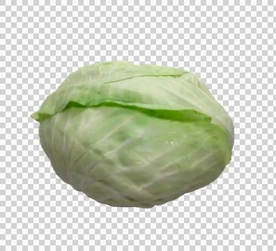 Cabbage on an isolated background Stock Photos