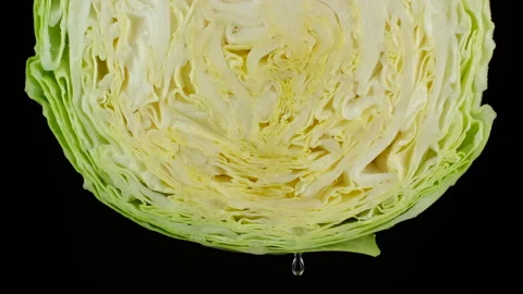 Cabbage isolated on black background. Water dripping down  the cabbage Stock Footage 241209442