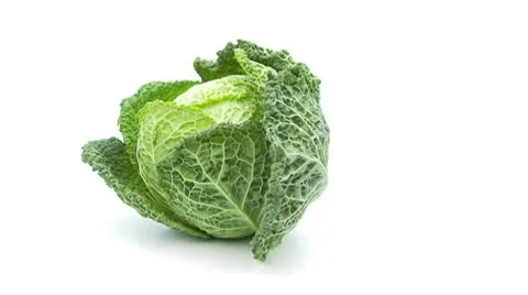 Cabbage isolated low perspective loopable file Stock Footage 8979190