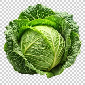 Cabbage - isolated-on-white-background (1) Stock Photos