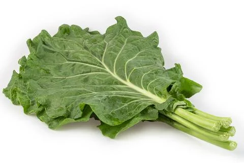 Cabbage isolated on white background. Kale. Stock Photos