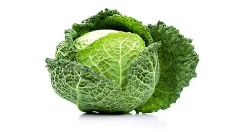 Cabbage isolated on white background – loopable file Stock Footage 8974783