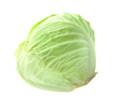 Cabbage an isolated on white background 스톡 사진