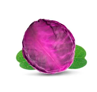 Cabbage an isolated on white background Stock Photos