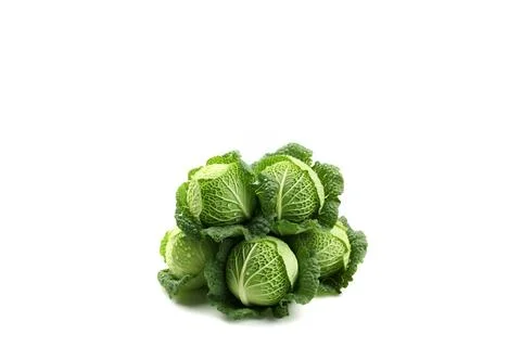 Cabbage isolated on white background 스톡 사진