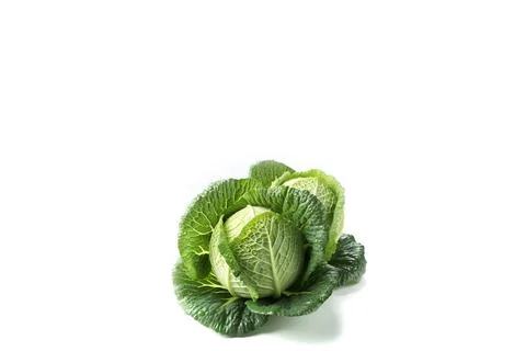 Cabbage isolated on white background Foto stock