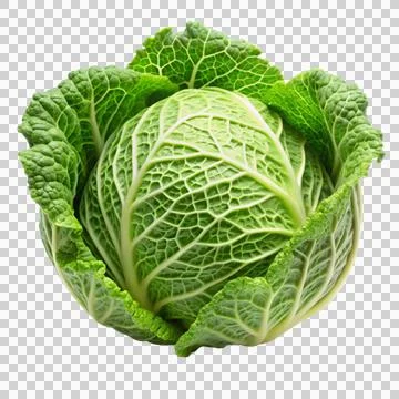 Cabbage - isolated-on-white-background Stock Photos