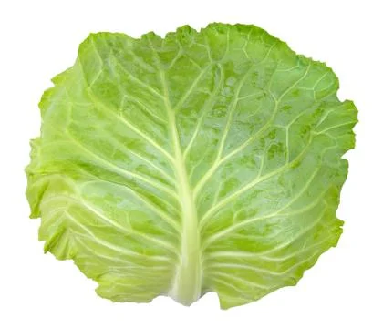 Cabbage isolated on white clipping path Stock Photos