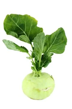 Cabbage kohlrabi Stock Photos