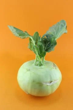 Cabbage kohlrabi Stock Photos