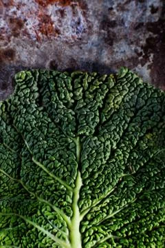 Cabbage leaf Foto stock