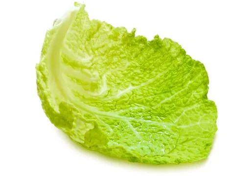 Cabbage Leaf Stock Photos
