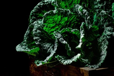 Cabbage leaves on a dark background. Foto stock