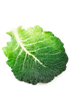 Cabbage leaves Foto stock